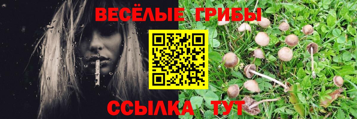 Псилоцибиновые грибы Magic Shrooms  Вход с VPN  купить наркоту  Знаменск 